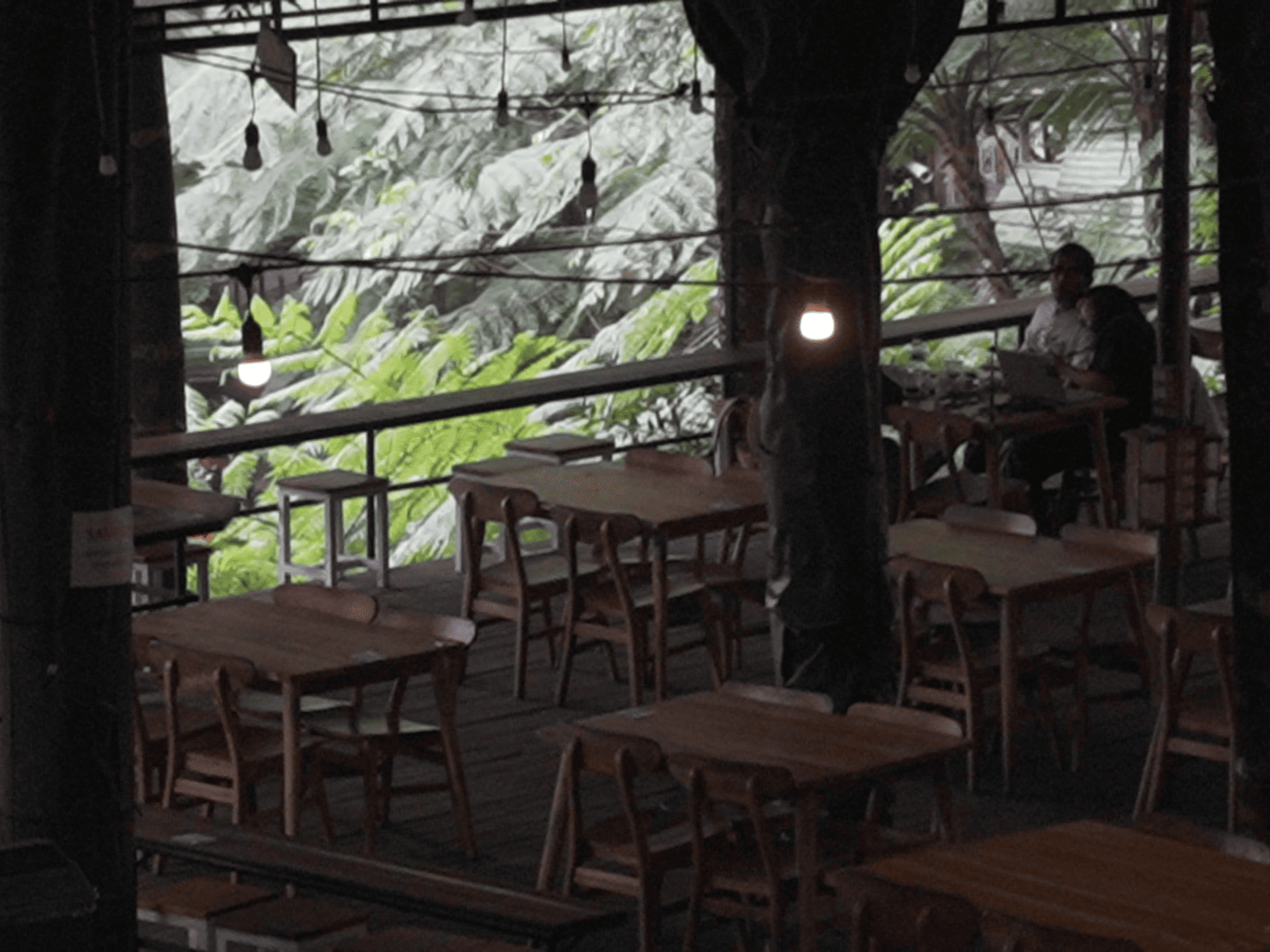 Forest Kopi